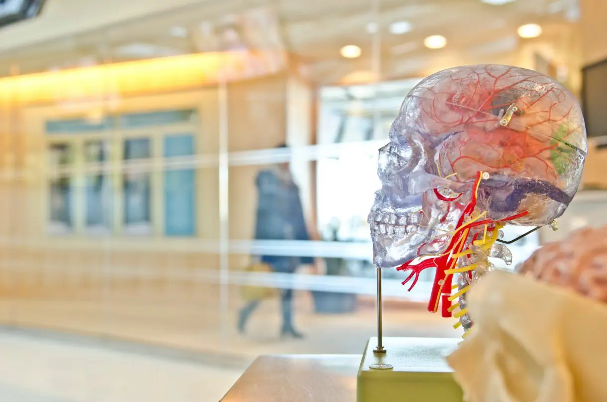 ADHD（注意欠陥・多動性）の子供のワーキングメモリを知る