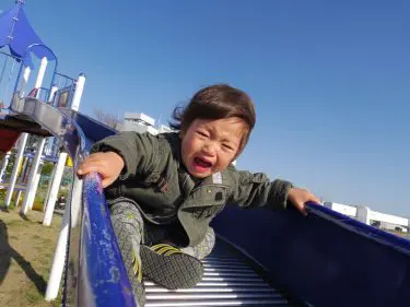 1歳児・2歳児に見られる発達障害の特性（自閉スペクトラム症）